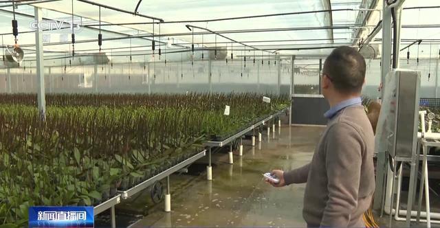 年备货开启！创意好物热销麻将胡了试玩网站免费马(图3)