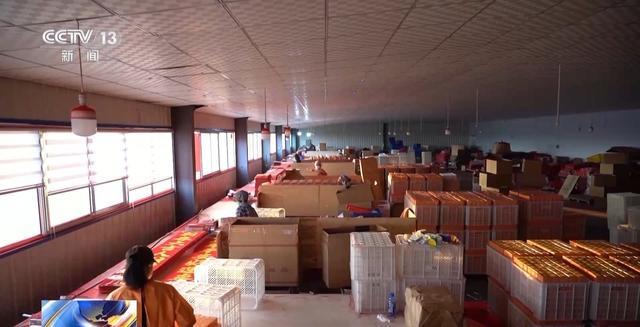 年备货开启！创意好物热销麻将胡了试玩网站免费马(图8)